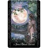 Blue Angel Mėlyna Angel Mėlyna Angel The Solitary Witch Oracle Kortos