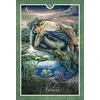 Blue Angel Mėlyna Angel Mėlyna Angel Whispers Of Oracle Kortos