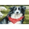 Border Collie siuvinėjimo rinkinys iš RIOLIS Nr.: 1767