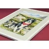 Border Collie siuvinėjimo rinkinys iš RIOLIS Nr.: 1767