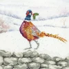 Bothy Threads Siuvinėjimo kryželiu rinkinys „A Festive Flourish“ su akvarelės fonu, 26x26 cm