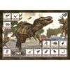 Dėlionė Buki France Dino mega kiaušinis, Buki, maxi pakuotė