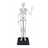 Buki France Buki Skeletas 85 cm