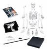 Buki France Buki Skeletas 85 cm