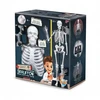Buki France Buki Skeletas 85 cm