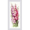 Charming Gladioli. Siuvinėjimo rinkinys iš RIOLIS Nr.: 1994
