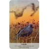 Bird Messages Kortos Cico Books