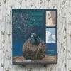 Cico Books Unusual Animal Messages Oracle kortos