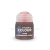 Citadel Colour Citadel sluoksniniai akriliniai dažai miniatiūroms 12 ml – Bloodreaver Flesh