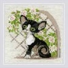 Riolis Kryželiu siuvinėjimo rinkinys "Cornish Rex Kitten" 15x15 SR2121