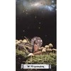 Hay House Oracle Kortos - Cosmic Crossroads Oracle 44 Kortų Vadovas 13 x 8 x 3.2 cm