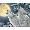 Hobilt 2 Wolves Deimantinio Paveikslo komplektas CS2565