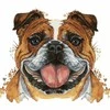 Hobilt Bulldog 20х20 Deimantinio Paveikslo komplektas Cs2718
