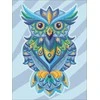 Hobilt Colourful Owl Deimantinio Paveikslo komplektas CS2544