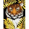 Hobilt Golden Tiger 30х40 Deimantinio Paveikslo komplektas Cs2722
