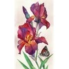 Hobilt Irises Deimantinio Paveikslo komplektas CS2577