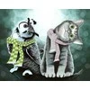 Hobilt Owl and Kitten Deimantinio Paveikslo komplektas CS2571