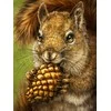 Hobilt Squirrel Totem Deimantinio Paveikslo komplektas CS2567