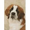 Hobilt St. Bernard pup 30х40 Deimantinio Paveikslo komplektas Cs2416