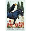 US Games Systems Crow Tarot Kišeninio Dydžio Leidimo Kortos