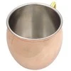 Venus Hotelware Pvt Stilinga vario spalvos nerūdijančio plieno Moscow Mule taurė, 0,5 l