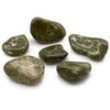 Ancient Wisdom Epidote Snowflake Akmuo (6 Vnt. L Dydžio)