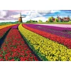 Tulip Eurographics 1000 detalių dėlionė „Tulpių laukai“ 67×49 cm – ryškus pavasario peizažas