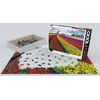 Tulip Eurographics 1000 detalių dėlionė „Tulpių laukai“ 67×49 cm – ryškus pavasario peizažas