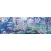 Eurographics Claude Monet Vandens lelijos panoraminė dėlionė 1000 detalių