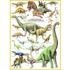 Eurographics Dėlionė 1000 vnt. - Juros periodo dinozaurai