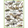 Eurographics Kreidinio periodo dinozaurai – 1000 detalių edukacinė dėlionė 50x70 cm