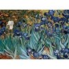 Eurographics Dėlionė 1000 vnt. - Vincentas van Gogas: Irisai