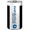 EverActive LR14 C šarminės baterijos Alkaline Pro, 1.5V, 2 vnt.