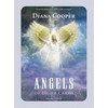 KNYGA Findhorn Press Angels Of Light kortos
