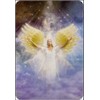 KNYGA Findhorn Press Angels Of Light kortos