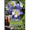 Solarus Flower Magic Oracle Kortos