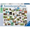 Ravensburger Dėlionė 1500 vnt. - Juokingi gyvūnai