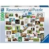 Ravensburger Dėlionė 1500 vnt. - Juokingi gyvūnai