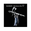 Gaahleri Barbatos Rex Ace aerografas modeliui 0.28/0.5/0.7 mm