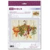 Riolis Rudens dovanos 30x24 SR2037