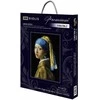 Girl with a Pearl Earring after J. Vermeer's Painting. Siuvinėjimo rinkinys iš RIOLIS Nr.: 100/063