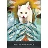 Hay House Grimalkins Curious Cats Tarot Kortos