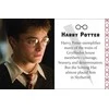 Dėlionė Knyga - Insight Editions Harry Potter: Gryffindor Kišeninis 192 Puslapiai