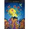 Hay House Sacred Mushroom Oracle šamaninės orakulo kortos anglų kalba