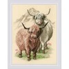 Riolis Highland Buddies SR2090