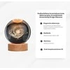 Hobilt Paukščių Tako LED stiklo rutulys su medine baze, USB, 8 cm – magiška lempa