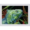 Riolis Siuvinėjimo kryželiu rinkinys "Iguana" 30x21 SR2192