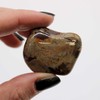 Ancient Wisdom Jasper Nguni (6 Vnt. L Dydžio)