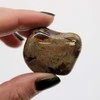 Ancient Wisdom Jasper Nguni (6 Vnt. L Dydžio)