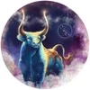 Fantasy Puzzles Jautis (Zodiakai) Dėlionė Iš Medžio (200 detalių)